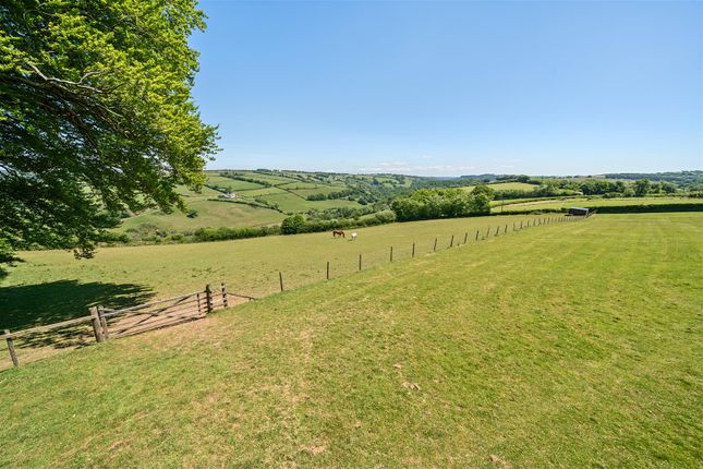 Old School House Land, Dulverton photo 4