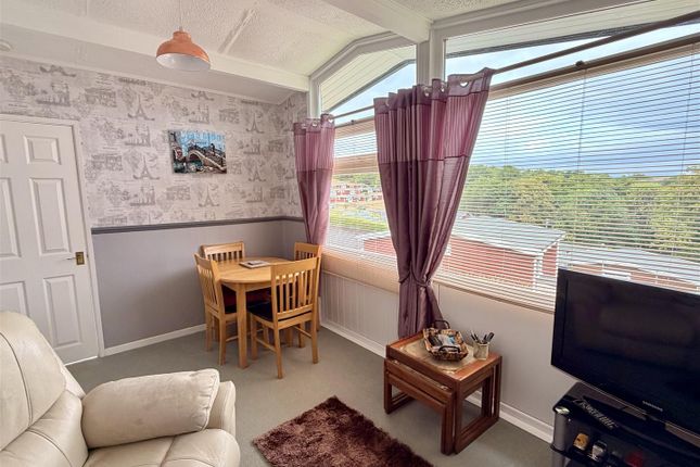 96, Elmrise Park Holiday Village, Carmarthen photo 5