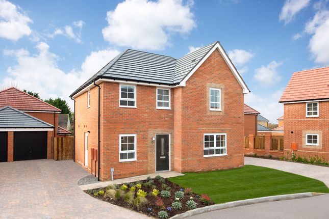Thumbnail Detached house for sale in "Radleigh" at Ellerbeck Avenue, Nunthorpe, Middlesbrough