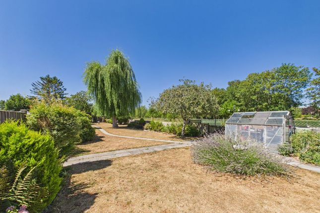 Archway Cottage, Shute Lane, Long Sutton photo 2