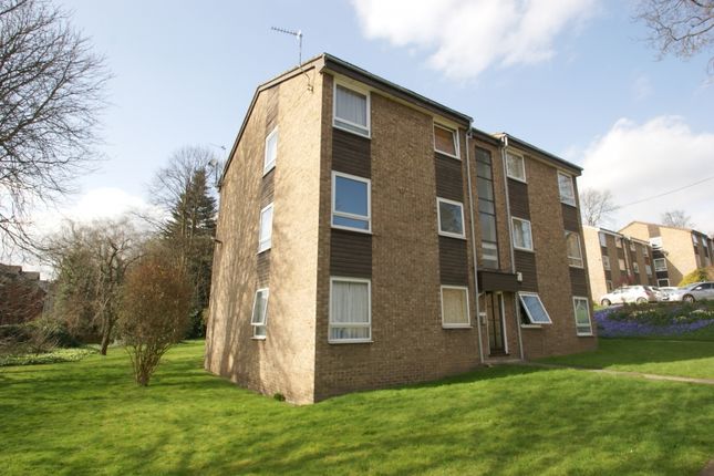 Red Door Lets Ls6 Property To Rent From Red Door Lets