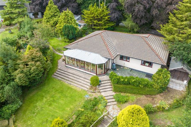 Thumbnail Bungalow for sale in Warbstow, Launceston