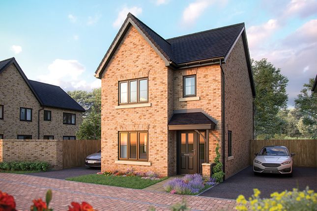 Thumbnail Detached house for sale in "The Cypress" at Cotterstock Road, Oundle, Peterborough