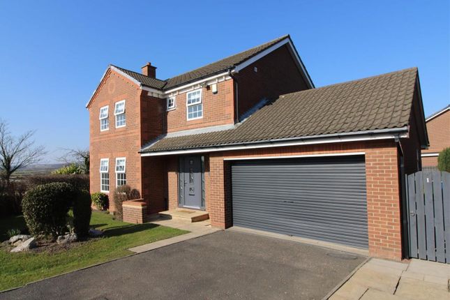 Thumbnail Detached house for sale in Abbey Drive, Abbey Grange, Newcastle Upon Tyne