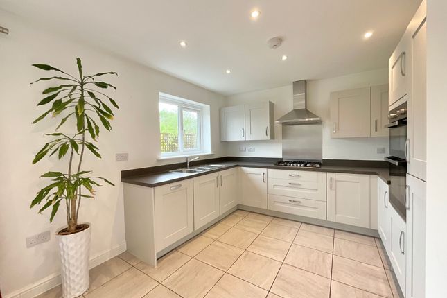 23 McKelvey Way, Crewe photo 3