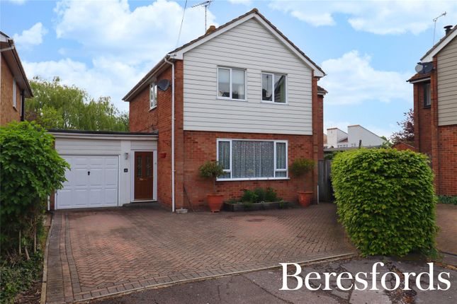 Thumbnail Detached house for sale in Bridon Close, East Hanningfield