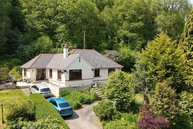 Detached bungalow for sale in Umberleigh, Devon