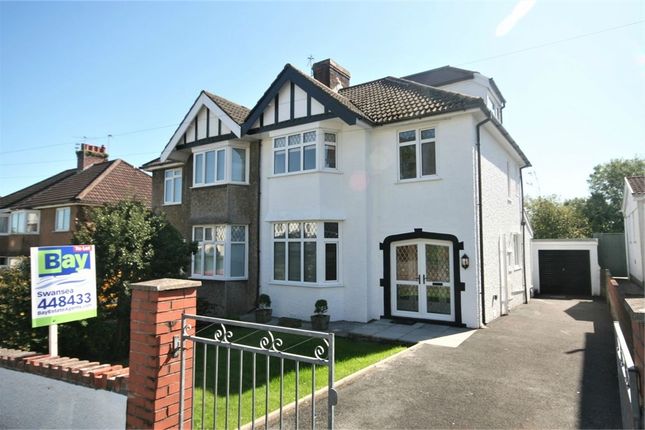 Semi-detached house to rent in Brookvale Road, West Cross, Swansea