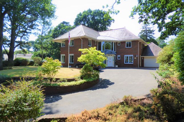 Thumbnail Detached House For Sale In The Avenuenksome Park Poole Dorset Thumbnail Detached House For Sale In The Avenuenksome Park Poole Dorset