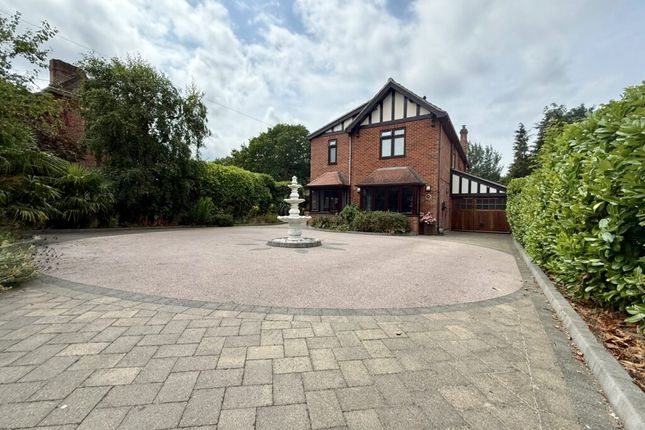 The Mount, 25, St Andrews Ave, Norwich photo 3