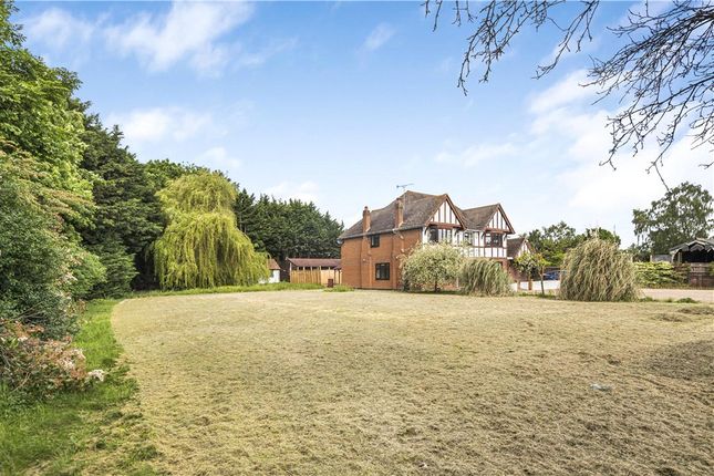 Thumbnail Detached house to rent in Rosemary Lane, Egham, Surrey