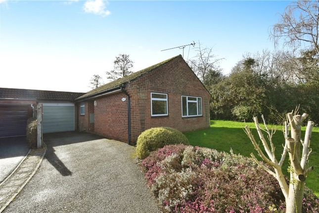 Thumbnail Detached bungalow for sale in Waterside Road, Romsey, Hampshire