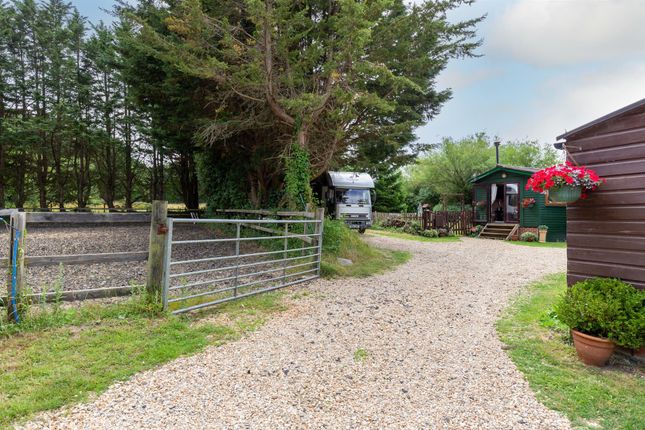 Equestrian property for sale in Rowlands Lane, Havenstreet, Ryde