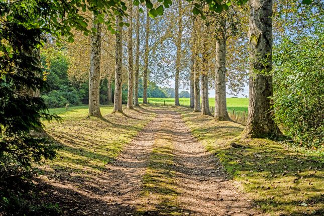 Wellow Mead, Wellow Drove, Romsey photo 4