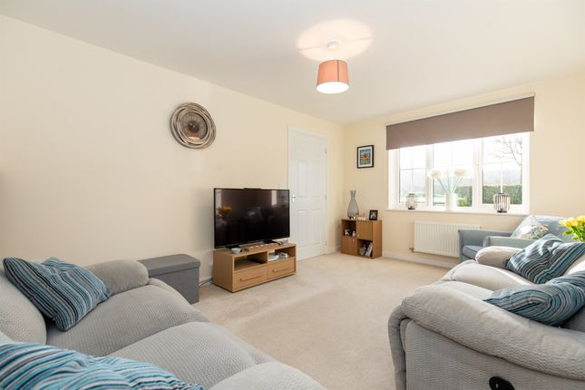 18, Cozens Street, Warwick photo 4