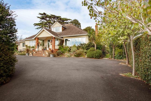 Casterbridge, 30 Annings Lane, Bridport photo 4