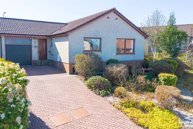 Thumbnail Detached bungalow for sale in Mackintosh Way, Perth