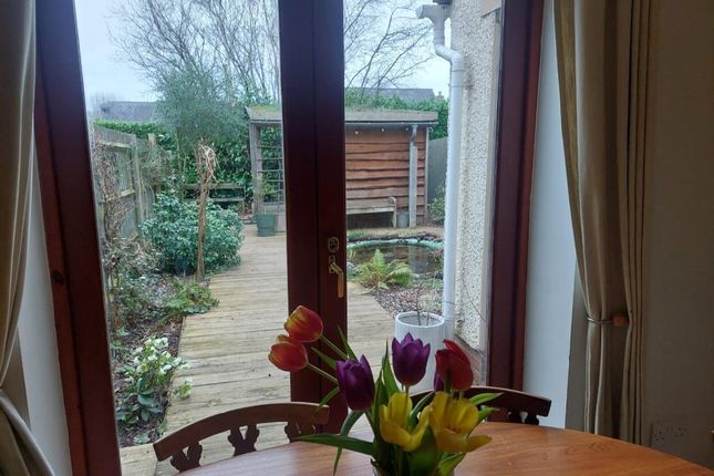 View From Dining Room