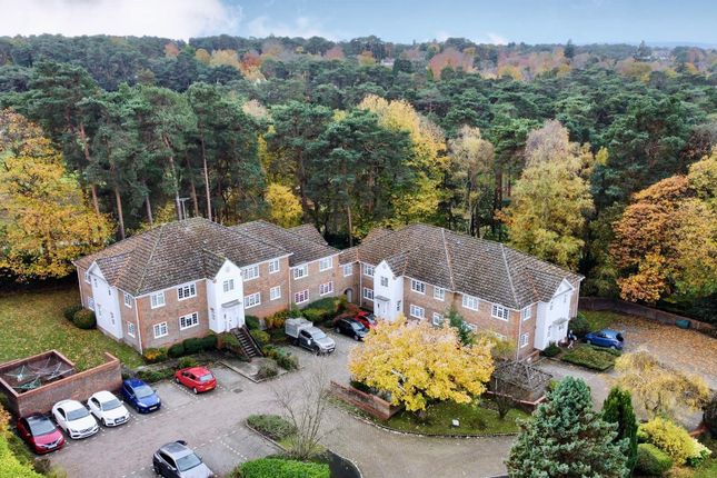 Whatsapp Image 2025-11-05 At 20.33.57_087F9785.Jpg