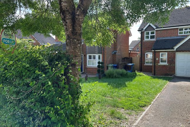 Detached house to rent in Laurel Gardens, Aldershot