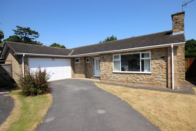 Thumbnail Detached bungalow for sale in The Cedar Grove, Beverley