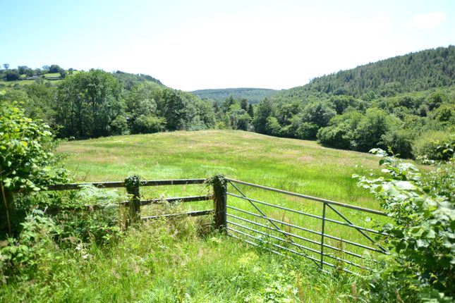 WERNANT, Gwernogle SA32, Llandeilo photo 4