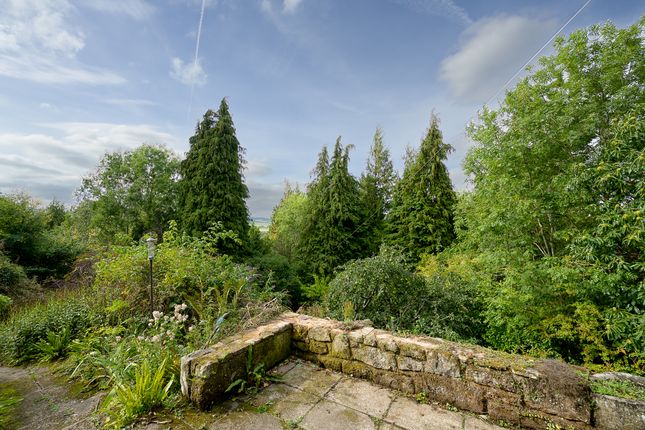 The Cider Press, Sawpitts Lane, Ross-on-Wye photo 4