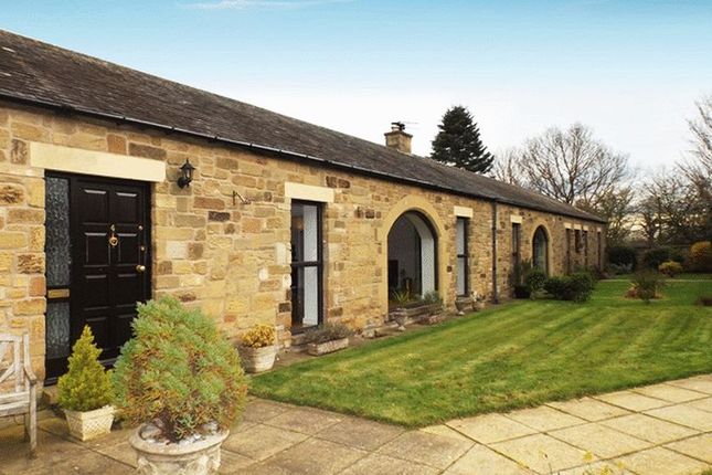 Homes To Let In The Signals Widdrington Morpeth Ne61 Rent