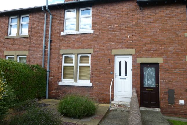 Thumbnail Terraced house to rent in York Crescent, Alnwick, Northumberland