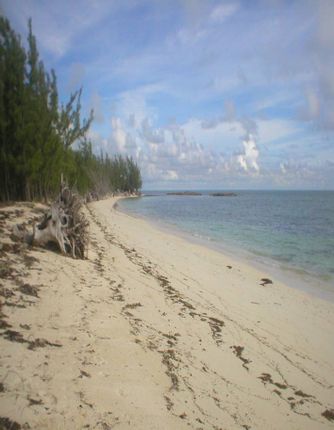 Land for sale in Central Andros, The Bahamas