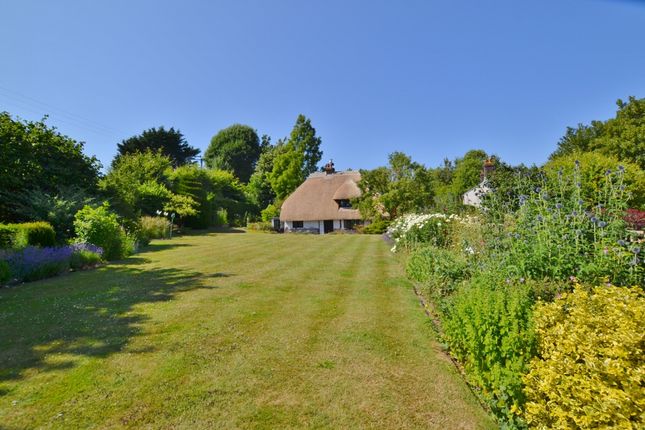Cottage for sale in Sutton, Near Petworth, West Sussex
