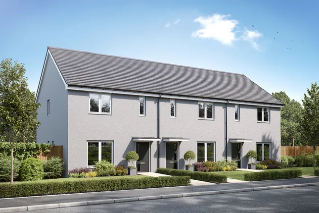 Persimmon Homes - Saltram Meadow