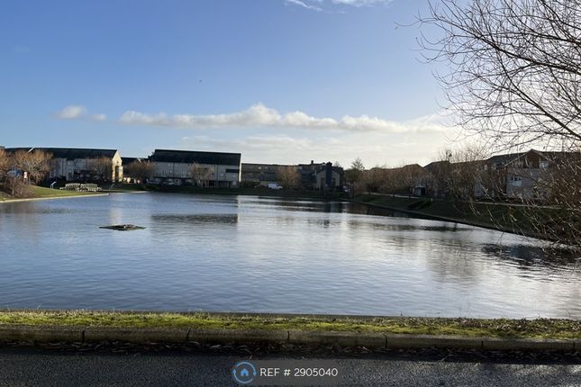 Wayside Crescent, Hampton Vale, Peterborough photo 2