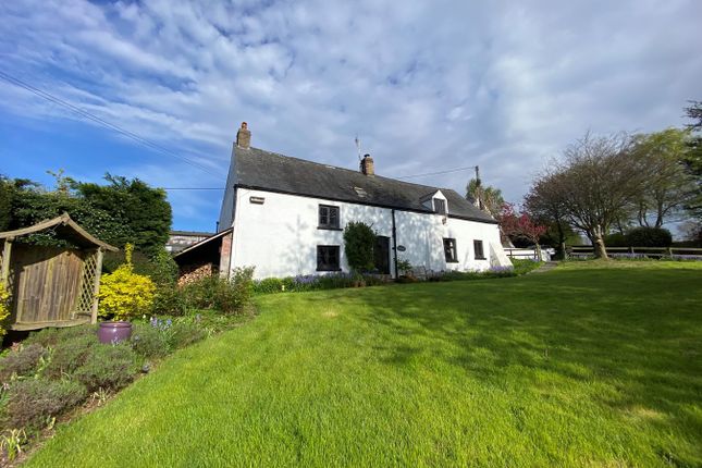 Beechtree Farmhouse, Usk photo 3