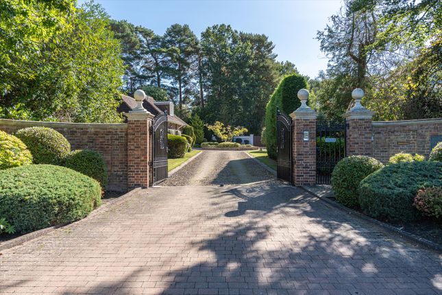 South Drive, Virginia Water photo 3