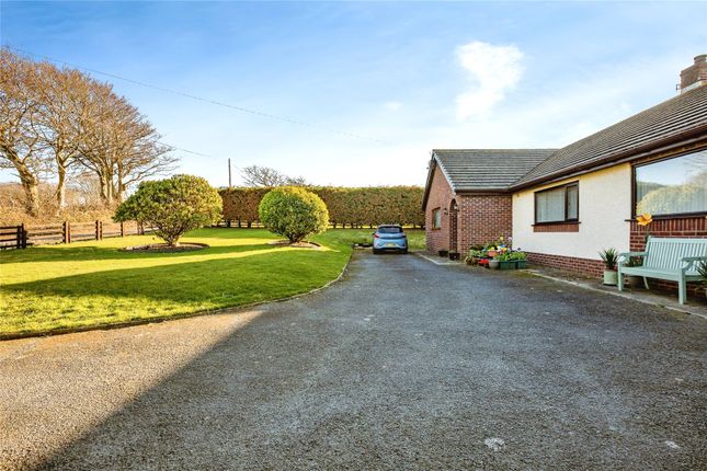 Awelwyre,, Llanrhystud, Ceredigion photo 2