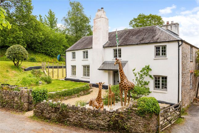 Poole Farm,, Torbryan, Devon photo 2