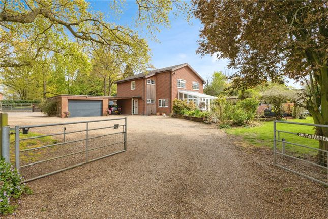 Thumbnail Detached house for sale in Woodcock Road, Wretham, Thetford, Norfolk