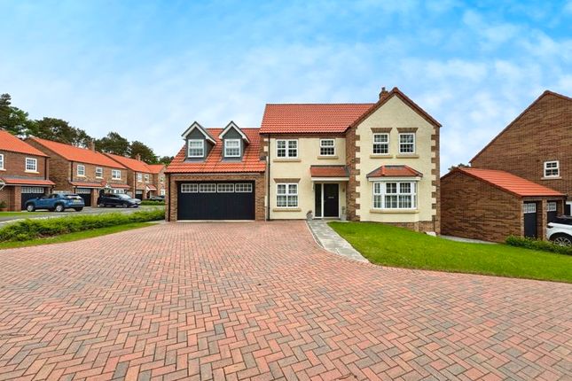 Thumbnail Detached house for sale in White Beam Way, Morpeth