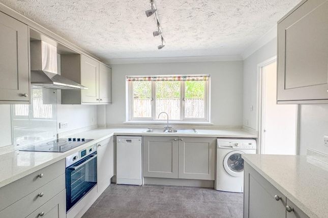 Sturmer, Milton Road, Cambridge photo 3