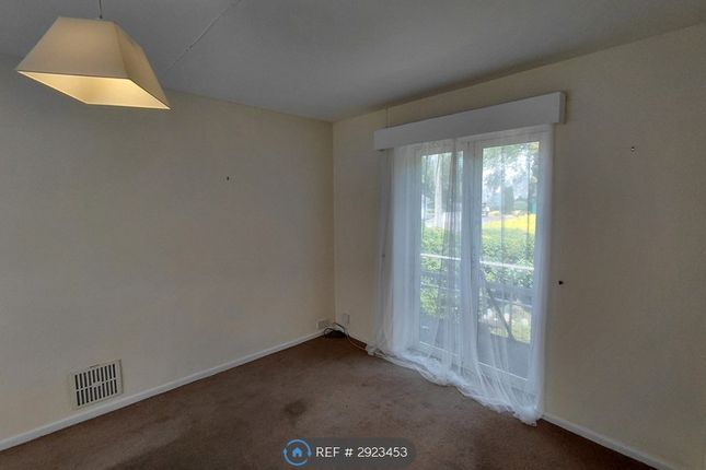 First, Topsham Road, Exeter photo 2
