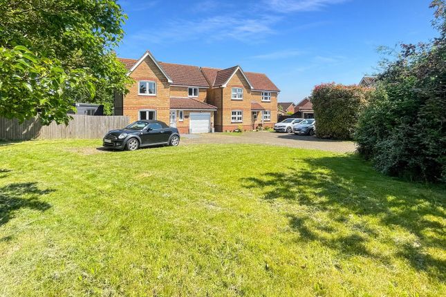 Thumbnail Detached house to rent in Ash Rise, Halstead