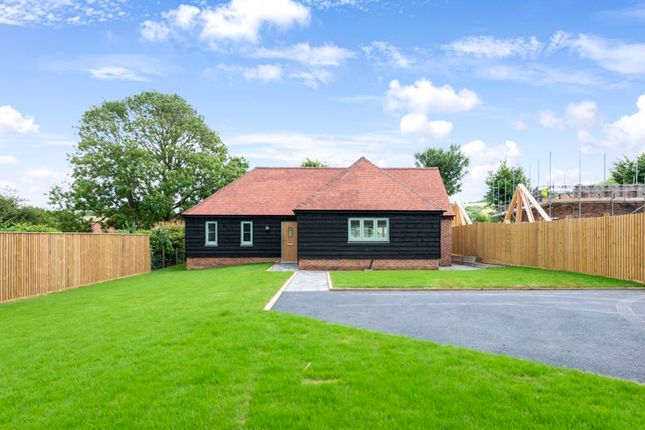 Thumbnail Bungalow for sale in Blandford Road, Iwerne Minster, Blandford Forum
