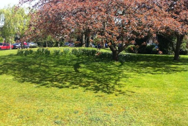 St Stephens Road London, Ealing photo 3