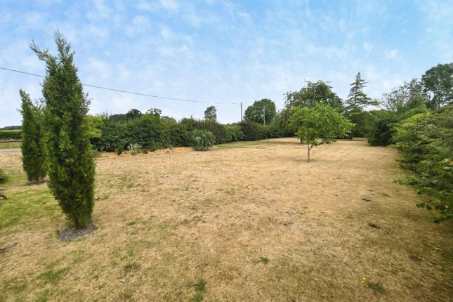 4, New Wiseton, Doncaster photo 4