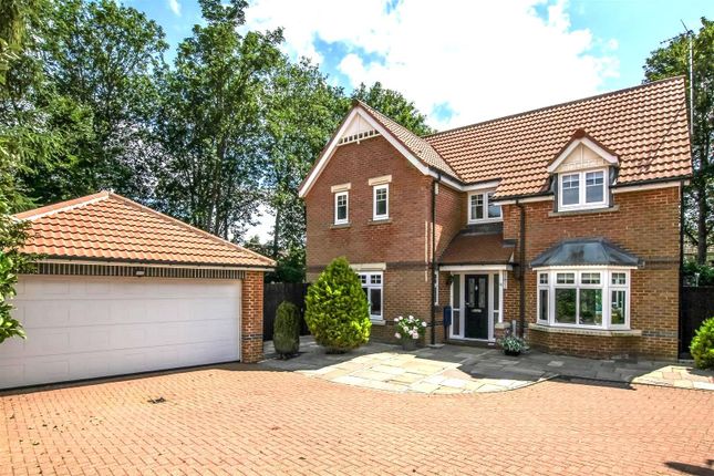 13 Harewood.Jpg