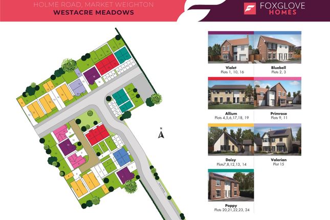 Plot 20, The Poppy,, Westacre Meadows, Holme Road, Market Weighton photo 2