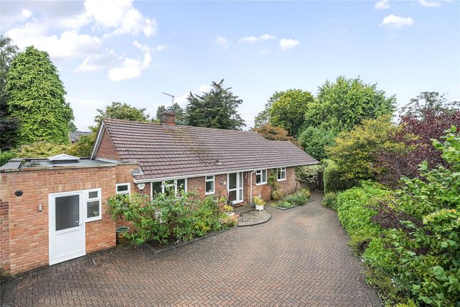 Thumbnail Bungalow for sale in Chappell Close, Liphook, Hampshire