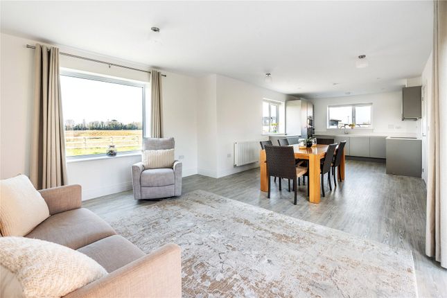 3, Hornbeam Way, Surrey photo 3