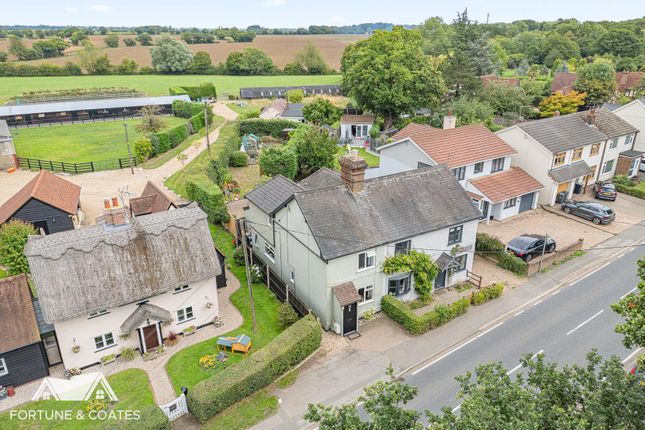 3, New Common, Bishop's Stortford photo 3
